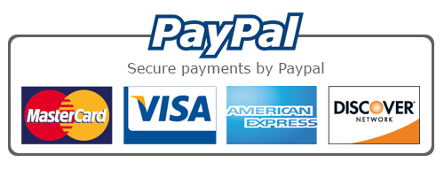 Paypal payment